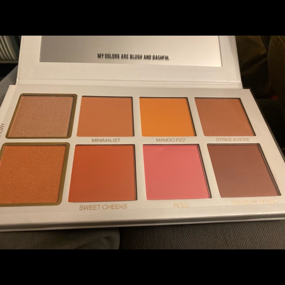 Scott Barnes Chic Cheek blush palette